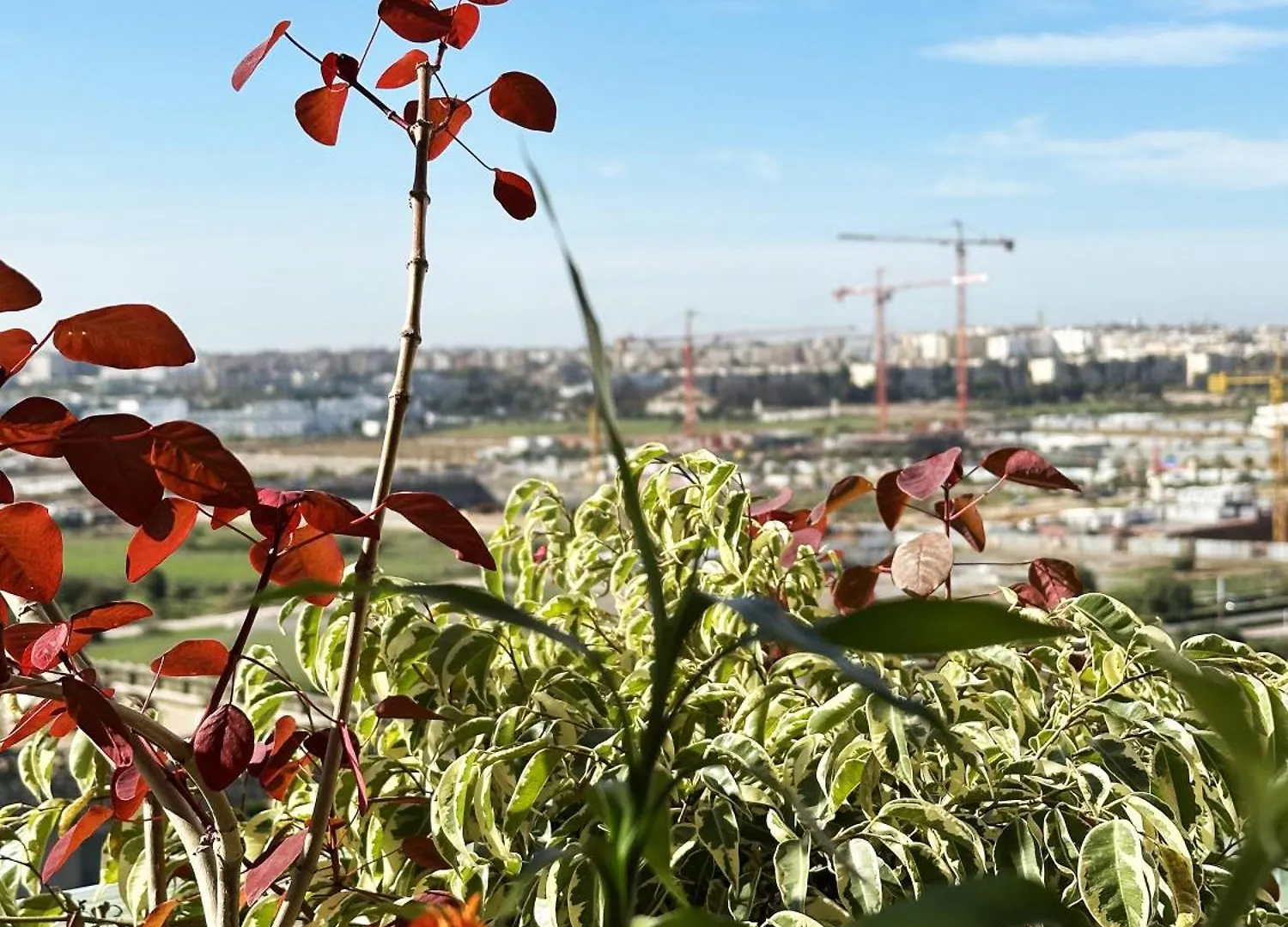 Anfa Louise Apartment Casablanca